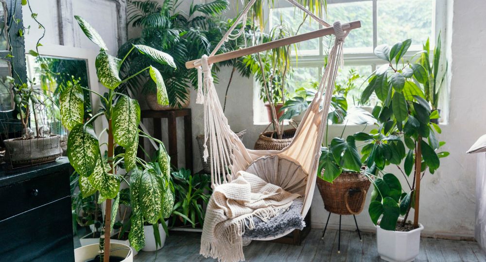 biophilic-design-bringing-nature-indoors-bay-area-homes