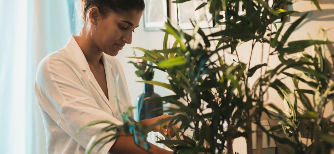biophilic-design-bay-area-homes-natural-wellness-trends